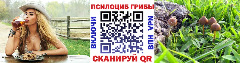 цены   Белово  Псилоцибиновые грибы Psilocybe 