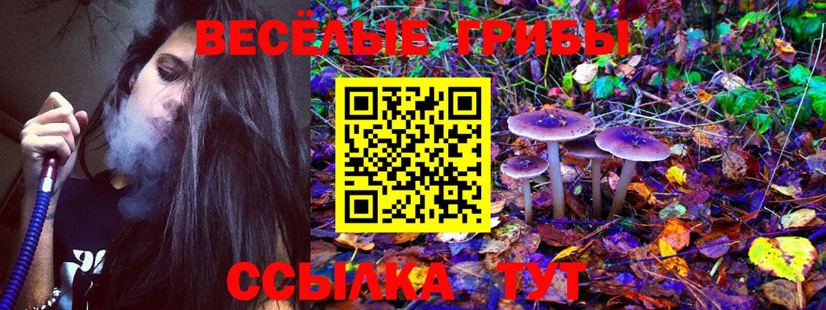 Псилоцибиновые грибы мицелий  Вход с VPN  Галлюциногенные грибы Psilocybine cubensis  Белово 