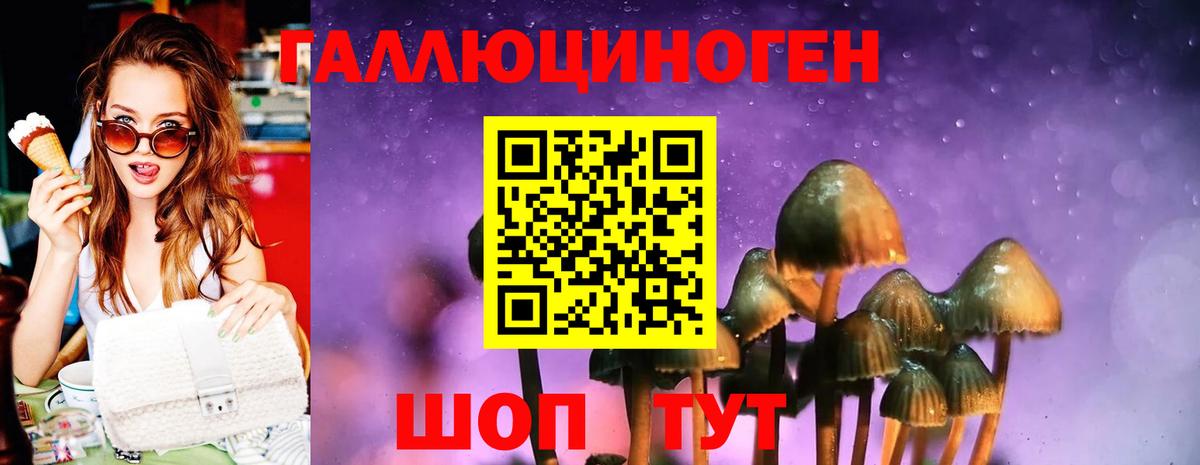 Галлюциногенные грибы мицелий Белово